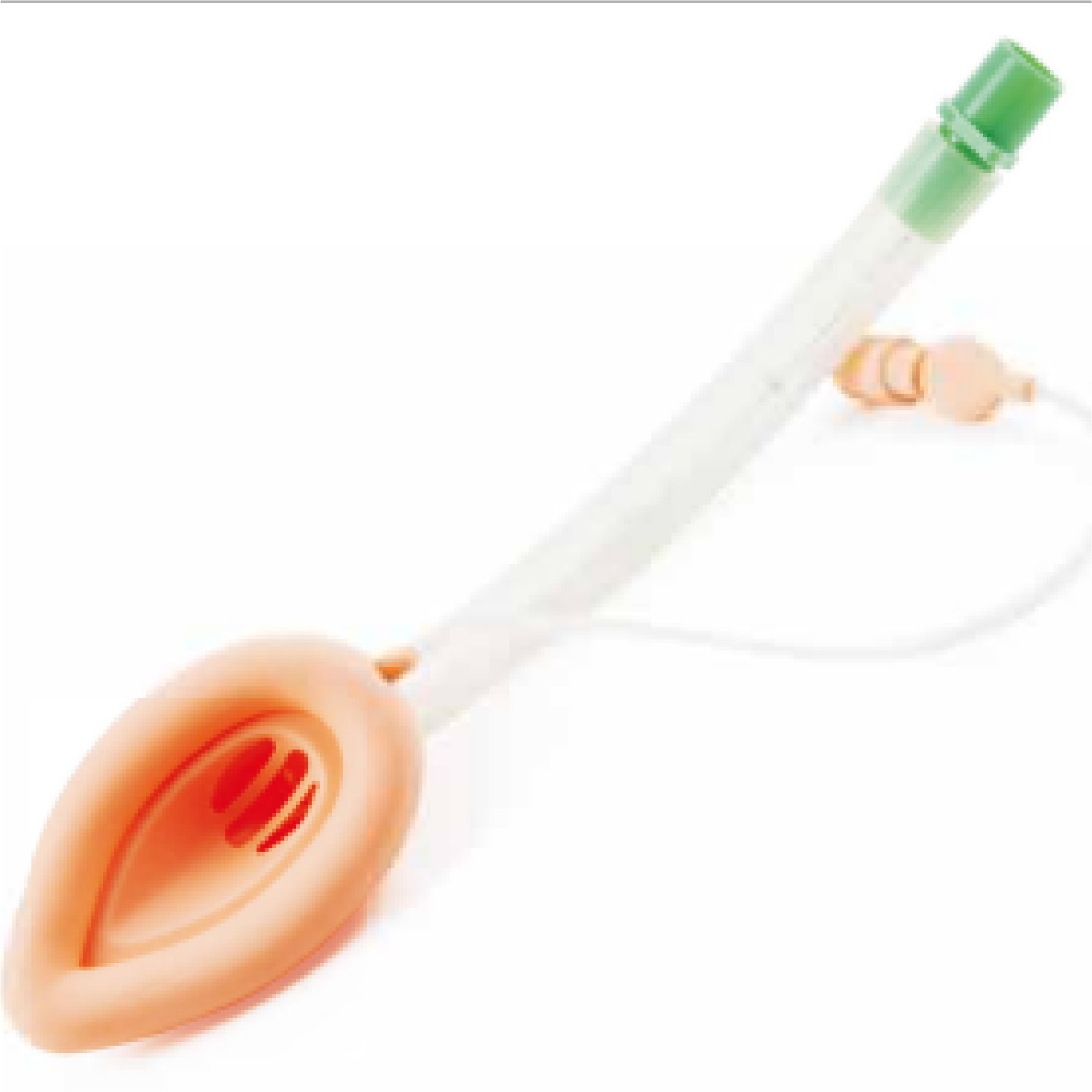 Double Lumen Laryngeal Mask Airway